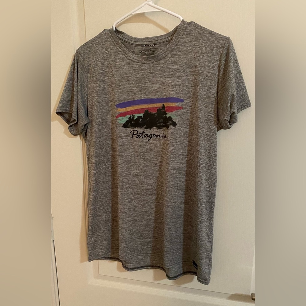 Patagonia size L graphic print gray tee.